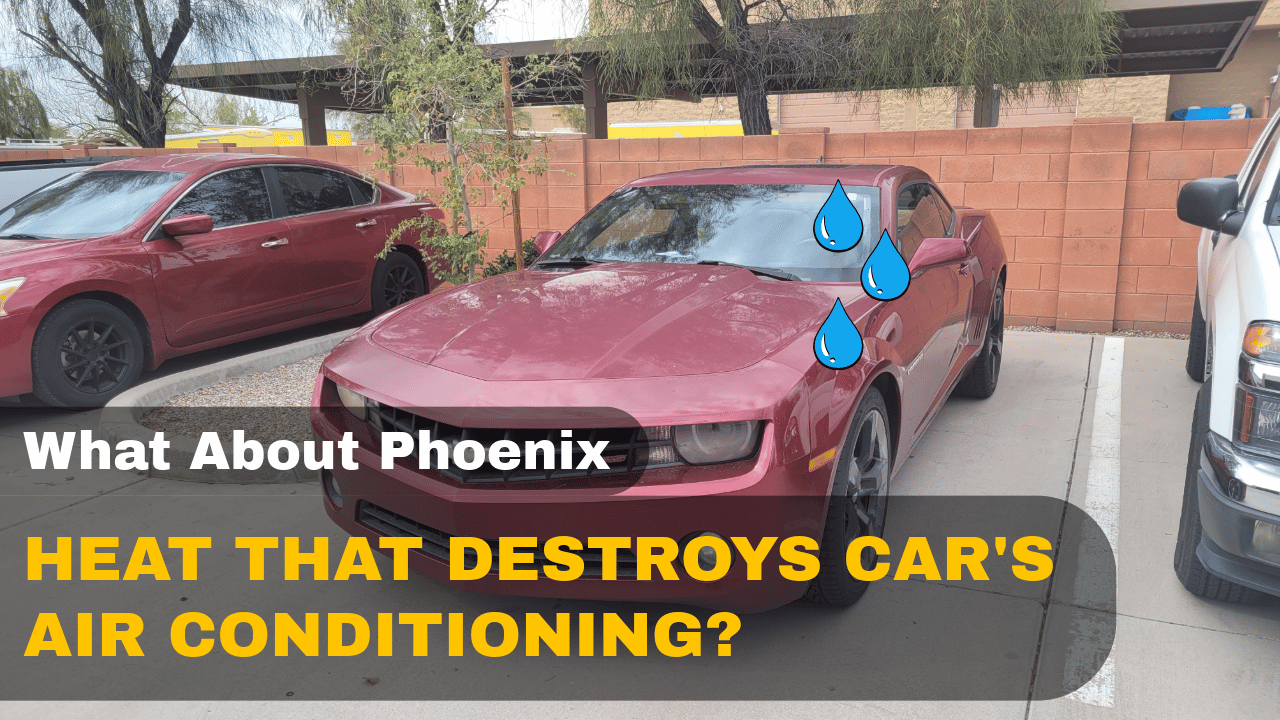 What About Phoenix